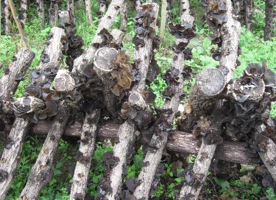 QQ截圖20220527151602.jpg QQ截圖20220527151602.jpg