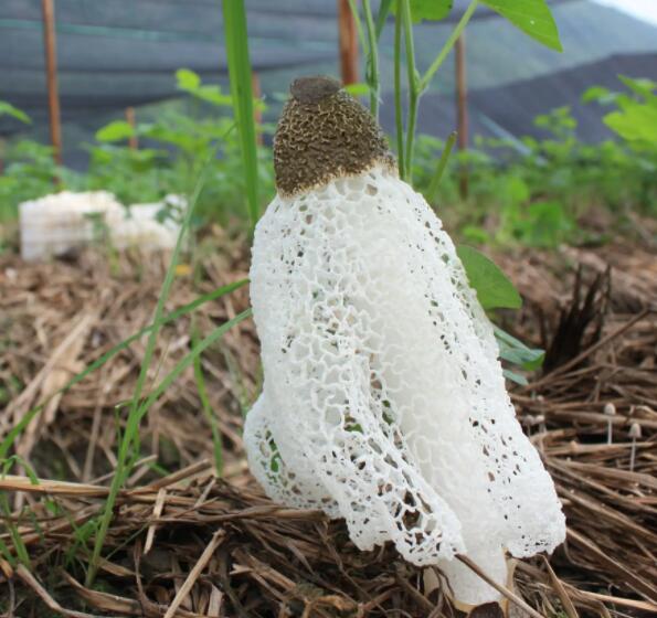 QQ截圖20220925165430.jpg QQ截圖20220925165430.jpg